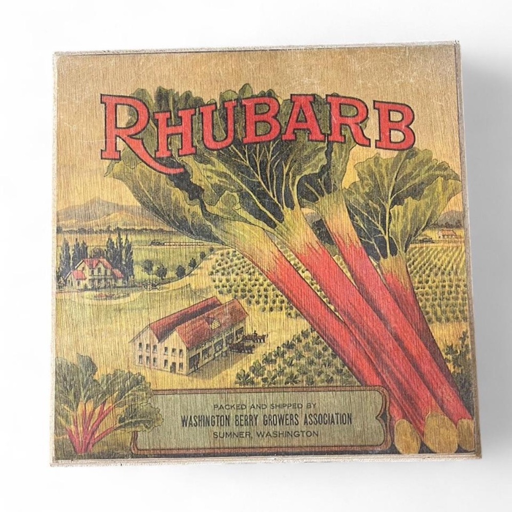 Vintage Produce Art Rhubarb